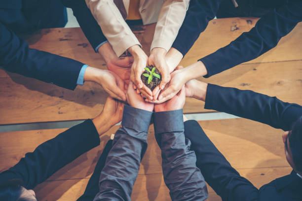 Partner Ecosystem